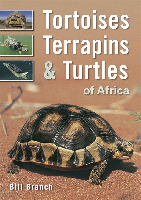 tortoises terrapins and turtles of africa Doc