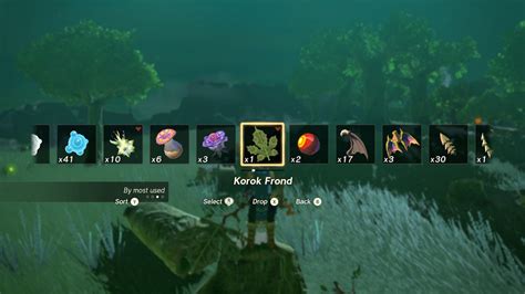 totk how to attach korok frond