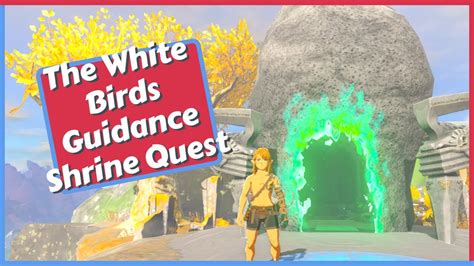 totk white birds guidance