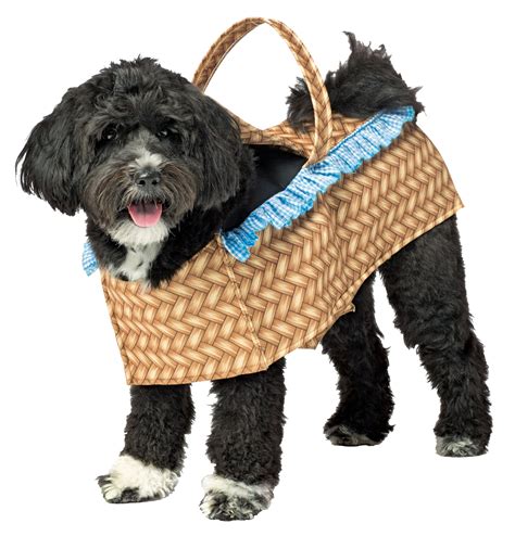 toto costume