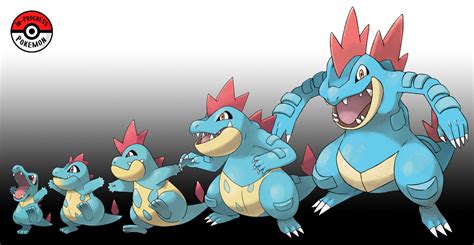 totodile level evolution