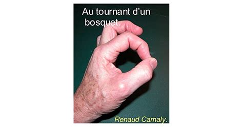 tournant dun bosquet renaud camaly ebook Reader