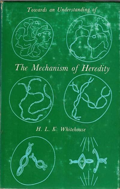 towards an understanding of the mechanism of heredity Doc