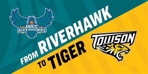 towson transfer credits