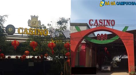 trường gà casino campuchia