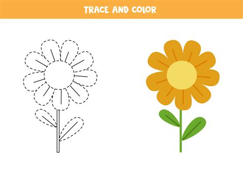 trace and paint flowers Reader