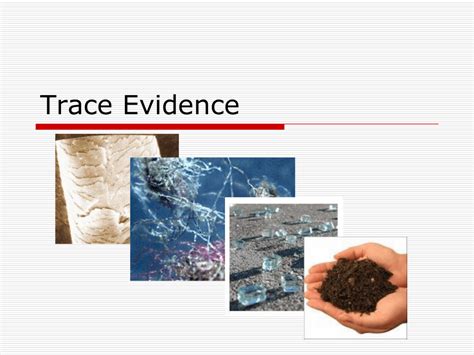 trace evidence analysis trace evidence analysis PDF