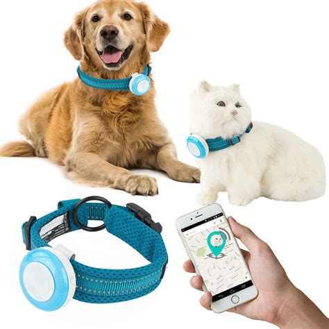 tracking collars for cats