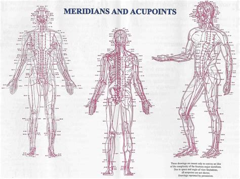 traditional chinese acupuncture meridians and points Doc