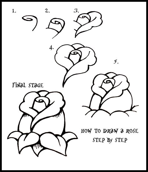 traditional rose step how to draw a rose flash