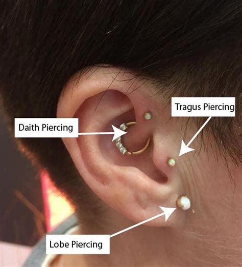 tragus