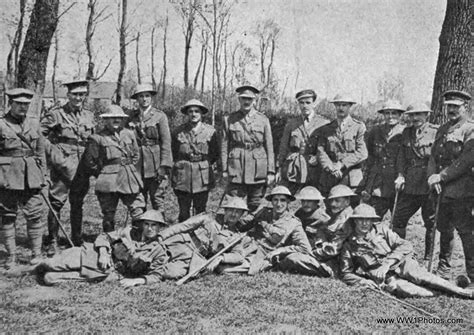 trail caribou newfoundland regiment 1914 1918 Reader
