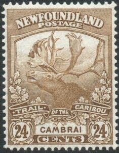 trail caribou newfoundland regiment 1914 1918 Reader