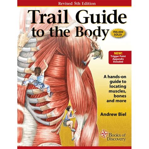 trail guide muscles poster anterior Reader