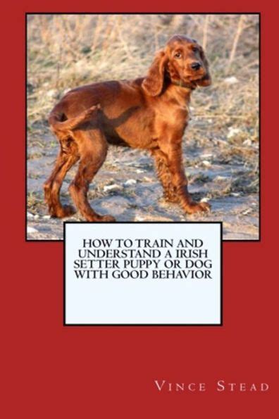 train raise irish setter behavior Kindle Editon