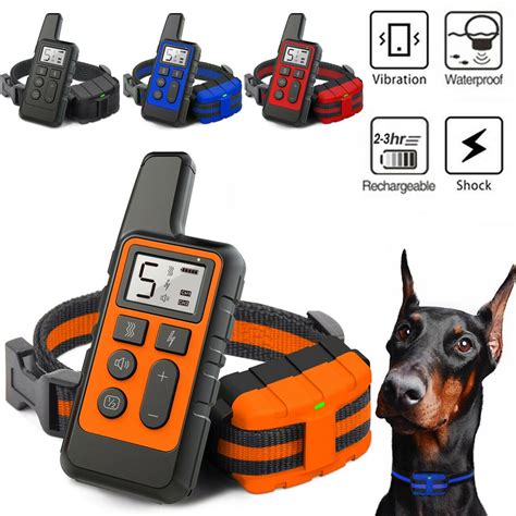 training collar for dogs