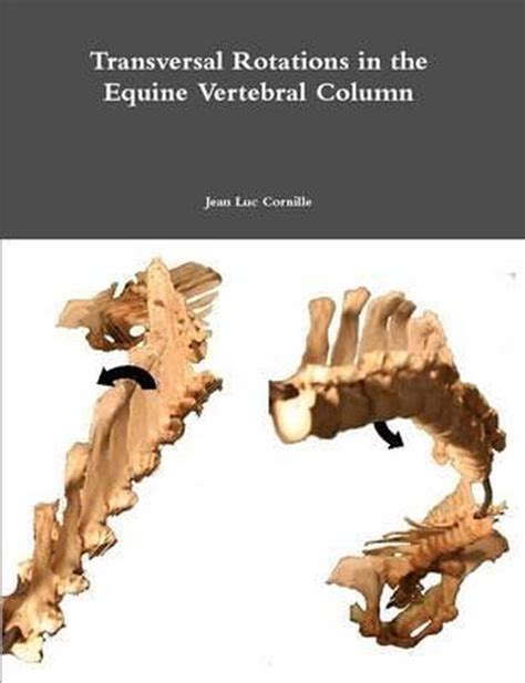 transversal rotations in the equine vertebral column Kindle Editon