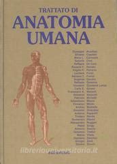 trattato anatomia umana edi ermes Ebook Epub