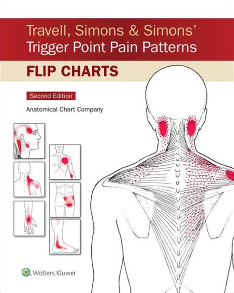 travell and simons trigger point flip charts Doc