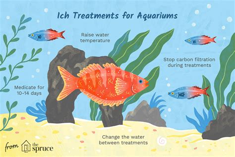 treating ich fish