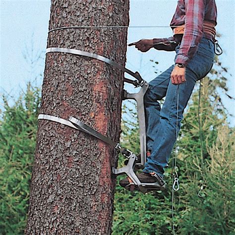 tree climbing equipment