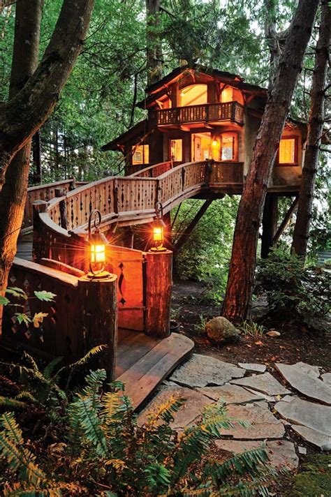 treehouses living a dream Kindle Editon