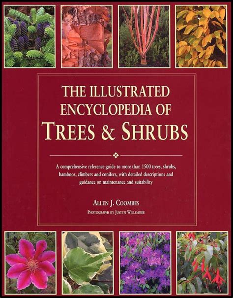 trees and shrubs a gardeners encyclopedia Epub