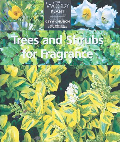 trees and shrubs for fragrance the woody plant Doc