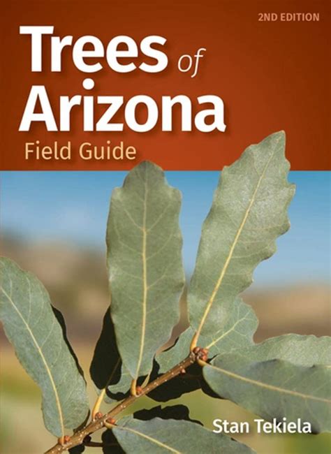 trees of arizona field guide arizona field guides Doc