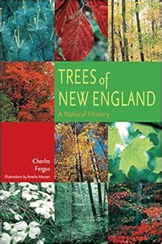 trees of new england a natural history Reader