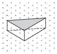 triangular prism isometric dot paper Kindle Editon