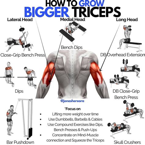 Tricep Workout Chart