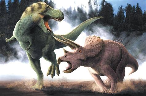 triceratops vs tyrannosaurus rex