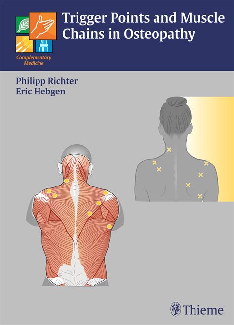 trigger points and muscle chains in osteopathy Epub