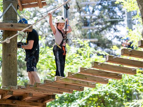 trinity forest adventure park