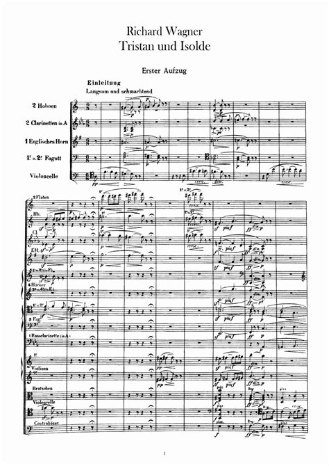 tristan und isolde in full score dover music scores Reader