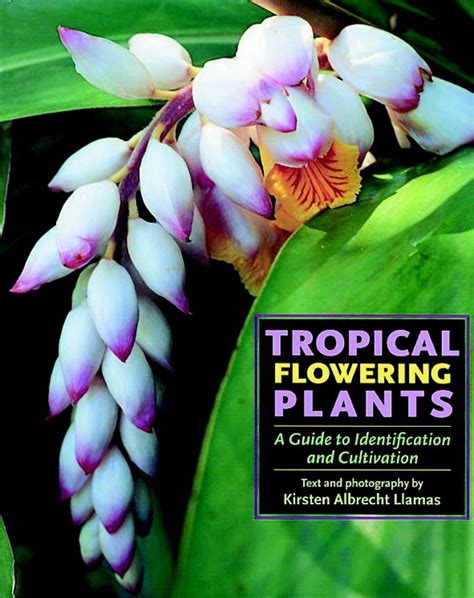 tropical flowering plants a guide to identification and cultivation Kindle Editon