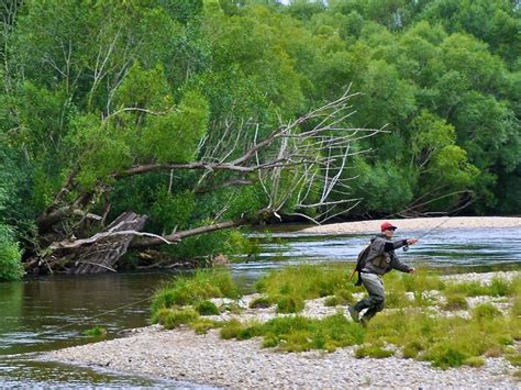 trout bohemia the fly fishing travels in new zealand PDF