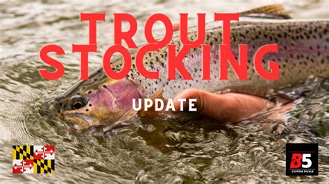 trout stocking near me