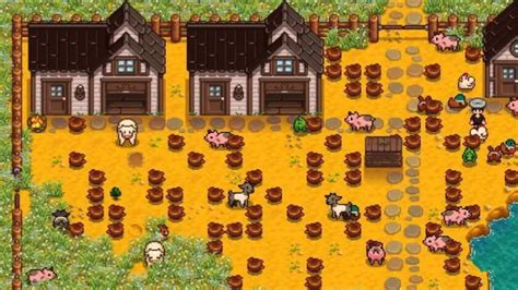 truffles stardew valley