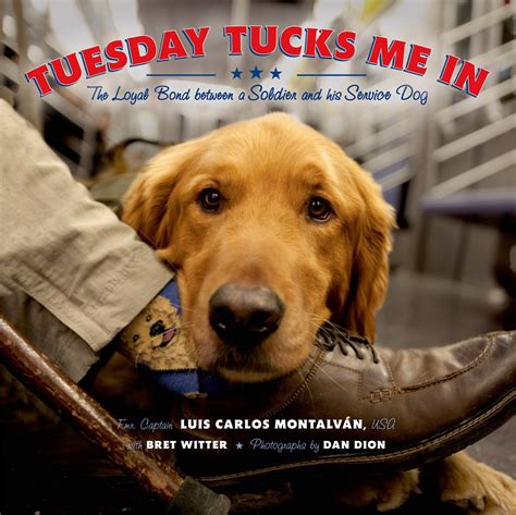 tuesday tucks me in the loyal bond between a soldier and his service dog Reader