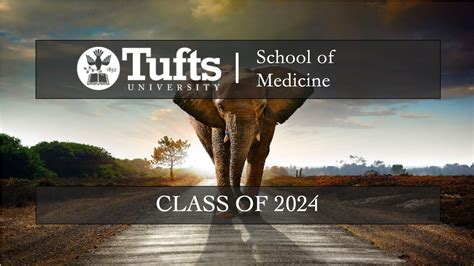 tufts sdn 2024