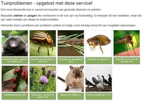 tuinproblemen opgelost PDF