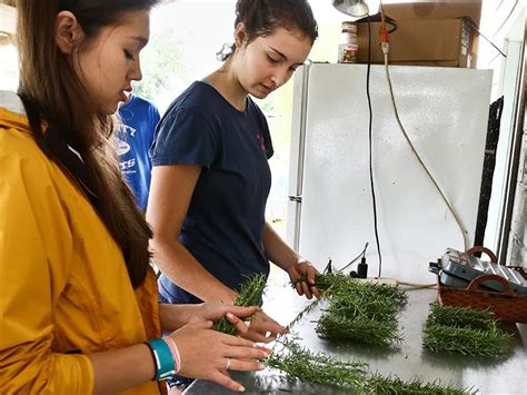 tulane service learning
