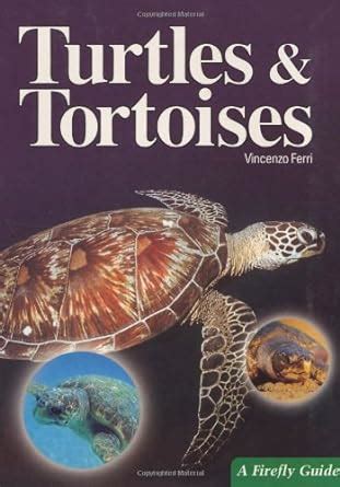 turtles and tortoises a firefly guide Reader