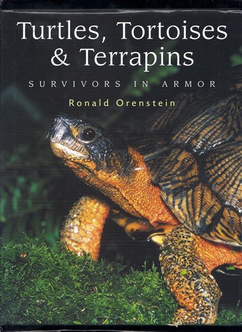 turtles tortoises and terrapins survivors in armor Kindle Editon