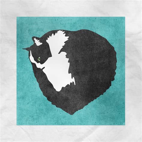 tuxedo cats 2016 square 12x12 Reader