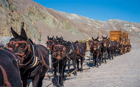 twenty mule team of death valley the images of america Kindle Editon