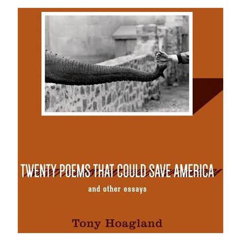twenty poems that could save america and other essays Epub