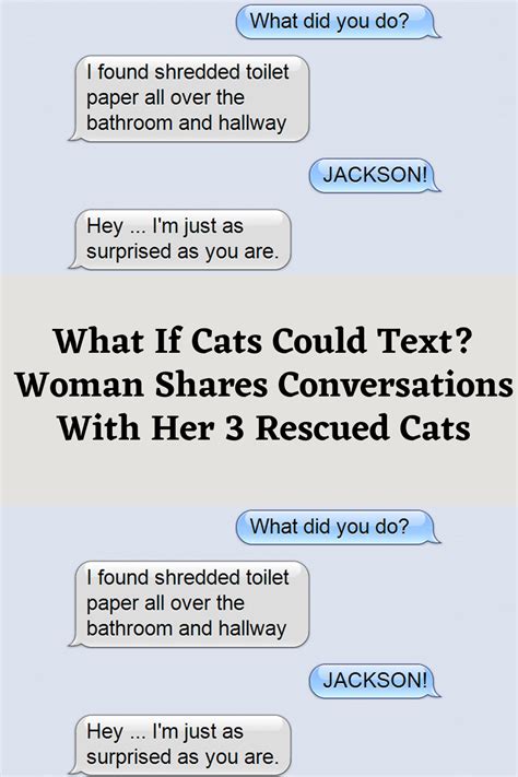 ty texts comical text conversations between a rescued cat and his family and friends Kindle Editon